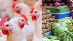 اخبار السوق اخر 24 ساعة.....