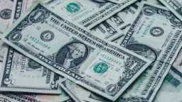 استقرار سعر الدولار أمام الجنيه...