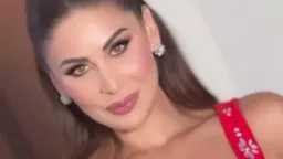 مي سليم تخطف الأنظار بفستان...