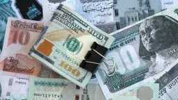 مفاجأة في سوق الصرف.. الأخضر...