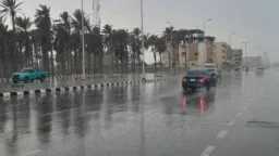طقس مرعب يضرب مصر فجأة.....
