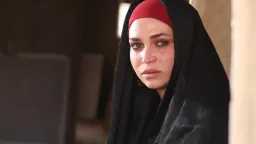 من الدراما إلى العالمية.. منار...