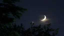 موعد عيد الأضحى 2026 ينكشف...