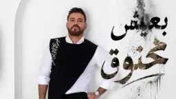 فن