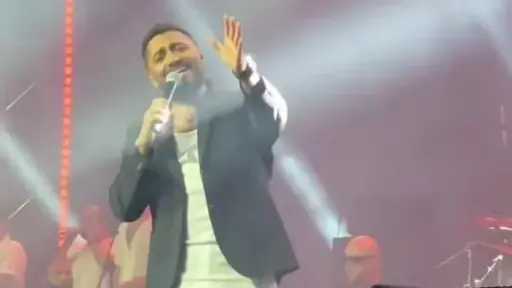 فن