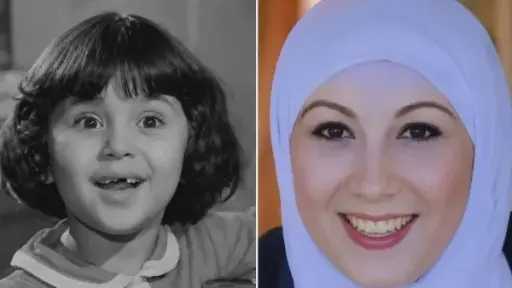 فن