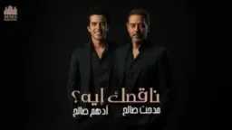 فن