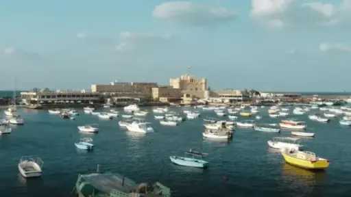 فن