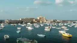 فن