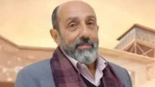 فن