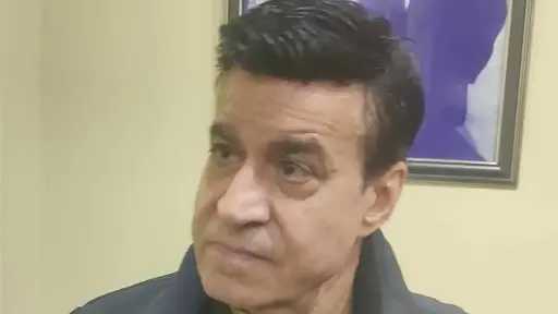فن