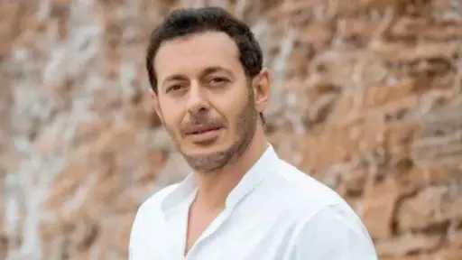 فن