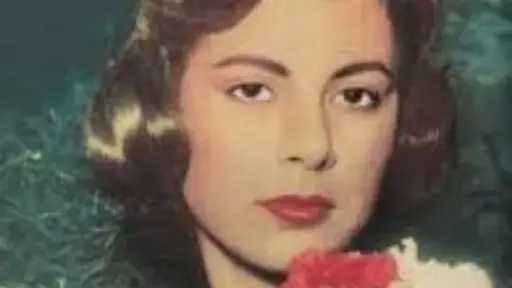 فن