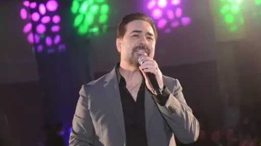 فن