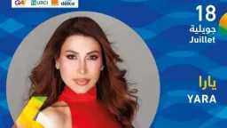 فن