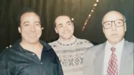 فن