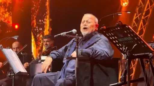 فن