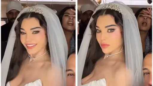 فن