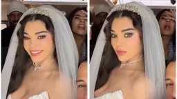فن