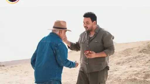 فن